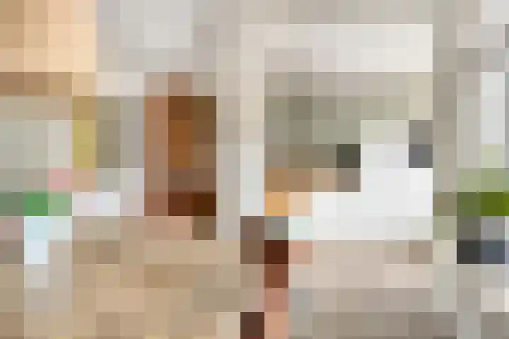 Mullerlaan 106 Veldhoven thumbnail 8