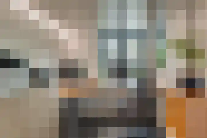Mullerlaan 114 Veldhoven thumbnail 20