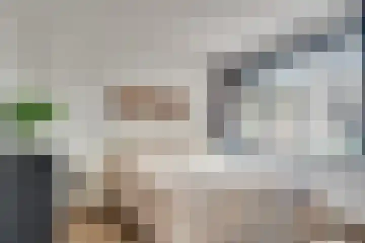 Mullerlaan 114 Veldhoven thumbnail 21