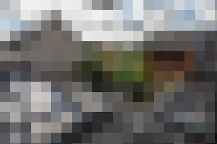 Mullerlaan 114 Veldhoven thumbnail 28