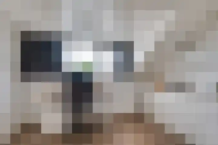 Mullerlaan 114 Veldhoven thumbnail 32
