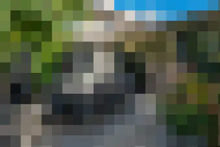 Mullerlaan 114 Veldhoven thumbnail 34