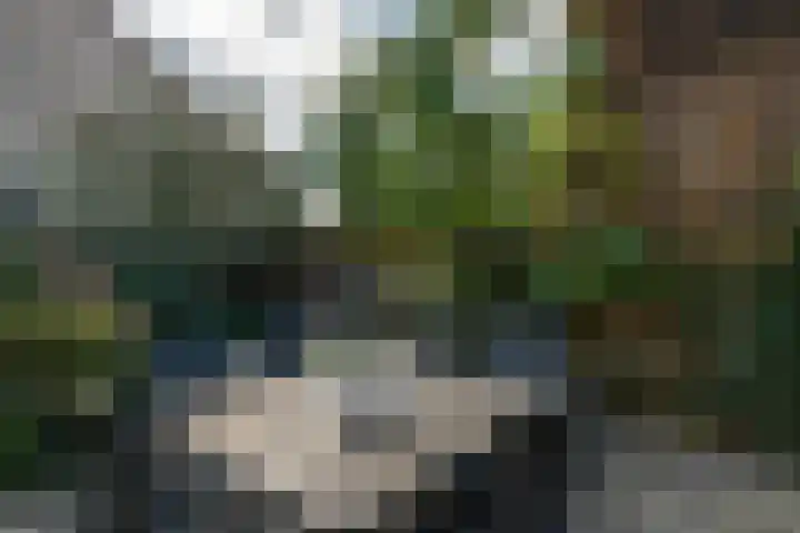 Mullerlaan 114 Veldhoven thumbnail 35