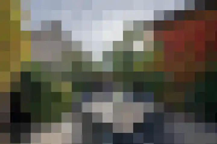 Mullerlaan 114 Veldhoven thumbnail 36
