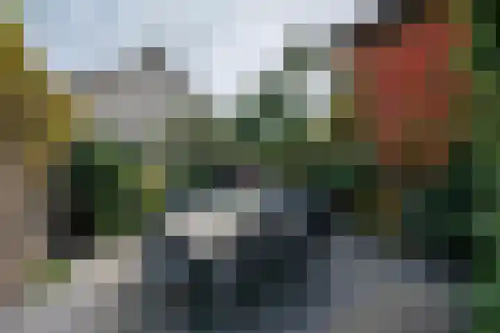 Mullerlaan 114 Veldhoven thumbnail 37