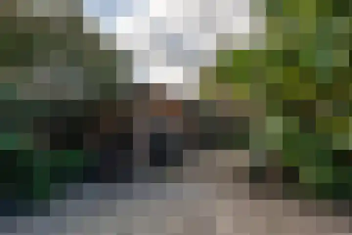 Mullerlaan 114 Veldhoven thumbnail 40