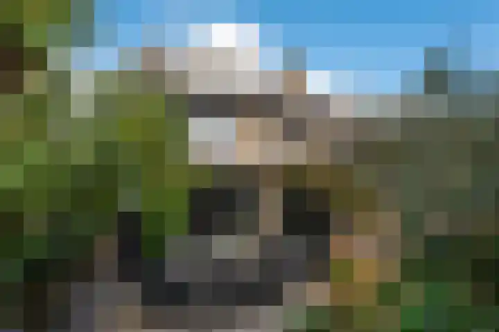 Mullerlaan 114 Veldhoven thumbnail 42