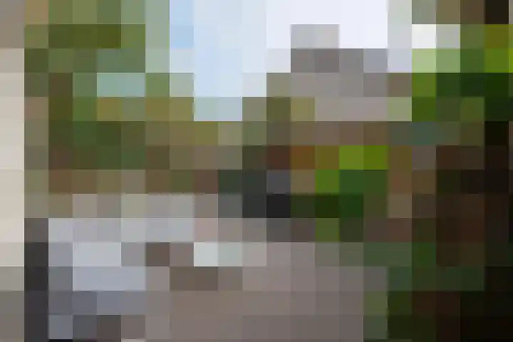 Mullerlaan 114 Veldhoven thumbnail 47
