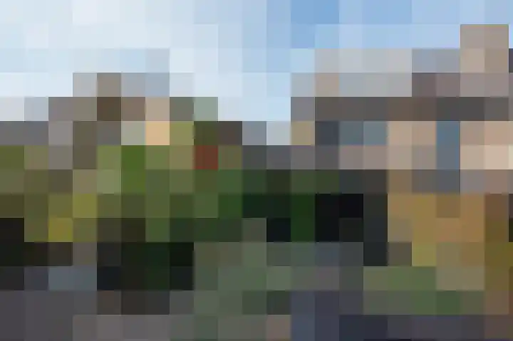 Mullerlaan 114 Veldhoven thumbnail 49