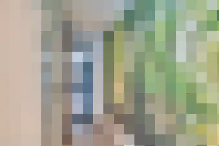Mullerlaan 114 Veldhoven thumbnail 5