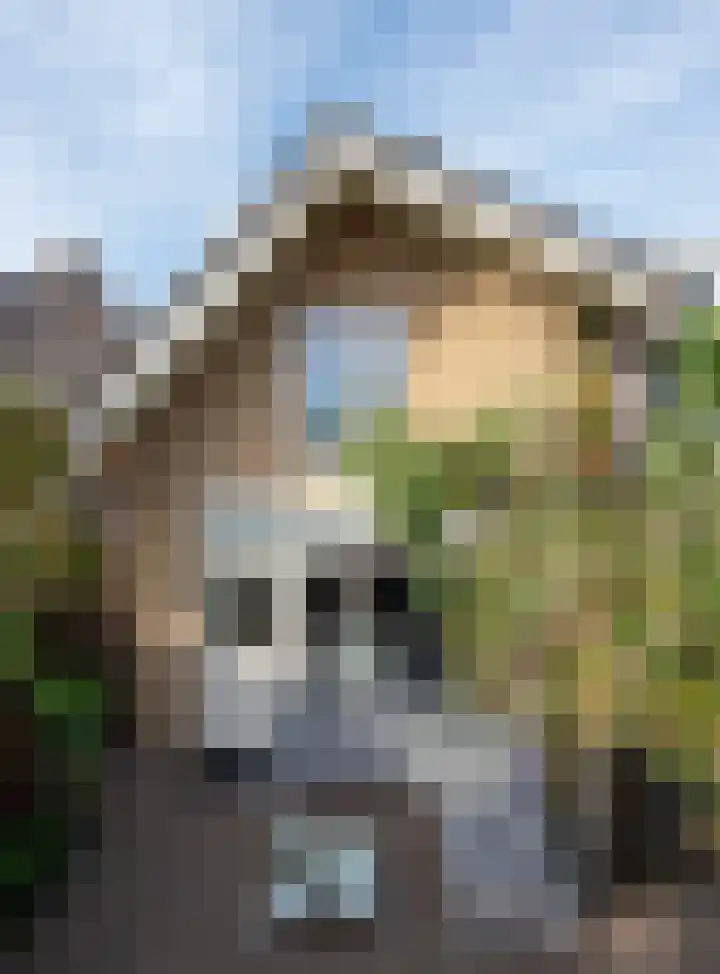 Mullerlaan 114 Veldhoven thumbnail 50