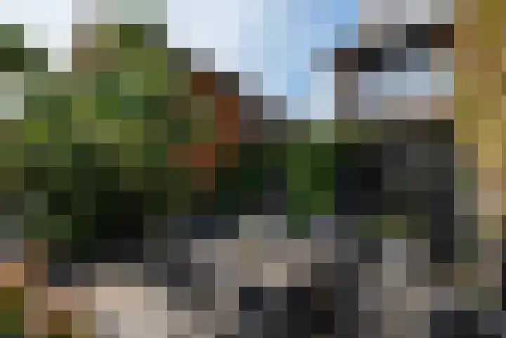 Mullerlaan 114 Veldhoven thumbnail 53