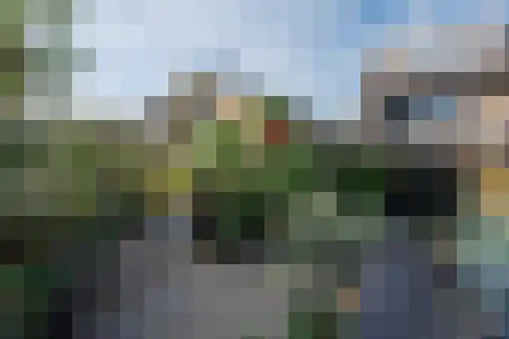 Mullerlaan 114 Veldhoven thumbnail 61