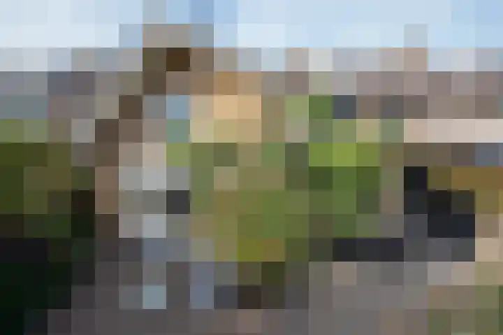 Mullerlaan 114 Veldhoven thumbnail 63