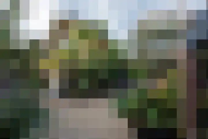 Mullerlaan 114 Veldhoven thumbnail 64
