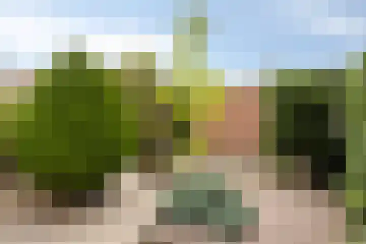Mullerlaan 98 Veldhoven thumbnail 29