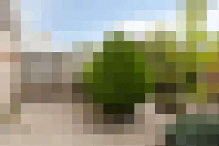 Mullerlaan 98 Veldhoven thumbnail 30
