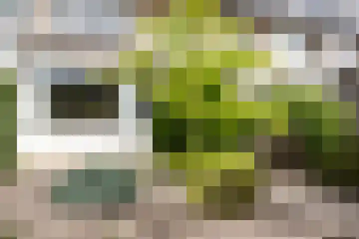 Mullerlaan 98 Veldhoven thumbnail 31