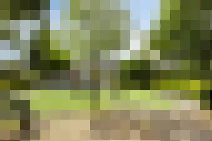 Mullerlaan 98 Veldhoven thumbnail 37