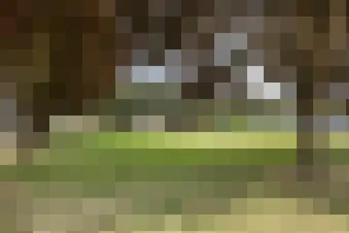 Mullerlaan 98 Veldhoven thumbnail 38