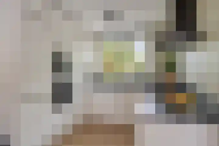 Mullershofstede 21 Vaassen thumbnail 11