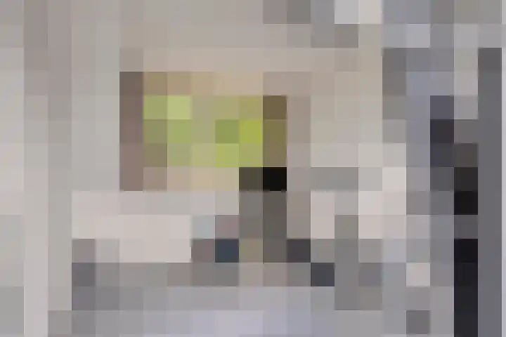 Mullershofstede 21 Vaassen thumbnail 28