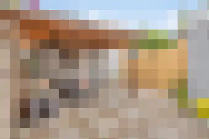 Mullershofstede 21 Vaassen thumbnail 31