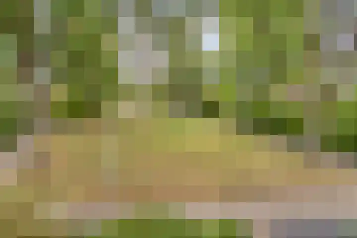 Mullershofstede 21 Vaassen thumbnail 34