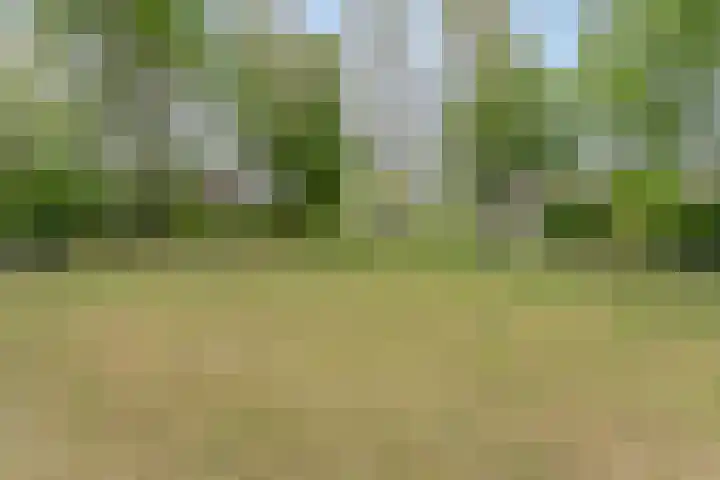 Mullershofstede 21 Vaassen thumbnail 35