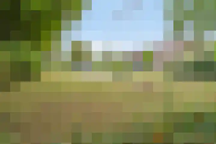 Mullershofstede 21 Vaassen thumbnail 36
