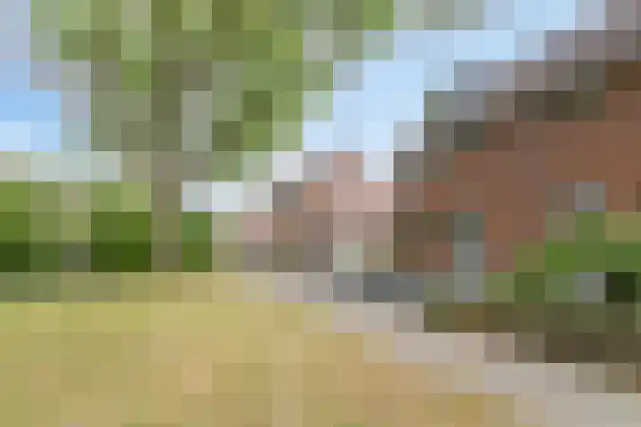 Mullershofstede 21 Vaassen thumbnail 4