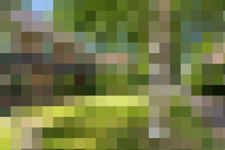 Mullershofstede 24 Vaassen thumbnail 24