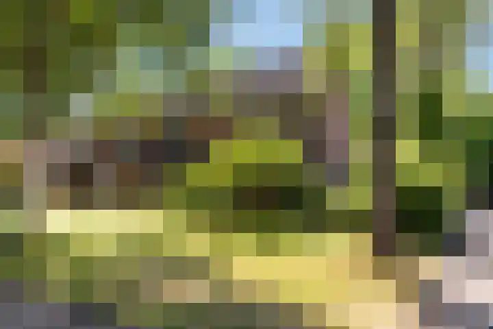 Mullershofstede 24 Vaassen thumbnail 30