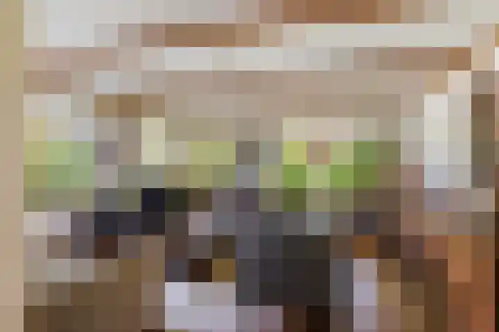 Mullershofstede 24 Vaassen thumbnail 5