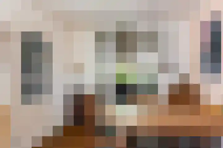 Mullershofstede 24 Vaassen thumbnail 9
