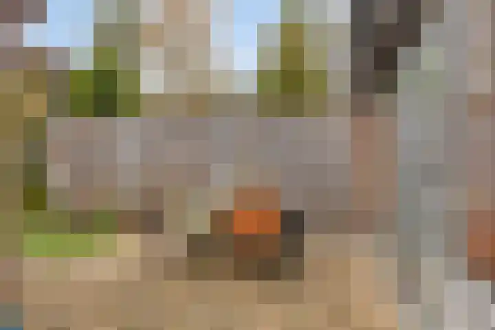 Mullershofstede 27 Vaassen thumbnail 28