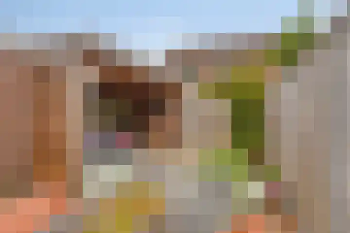 Mullershofstede 27 Vaassen thumbnail 29
