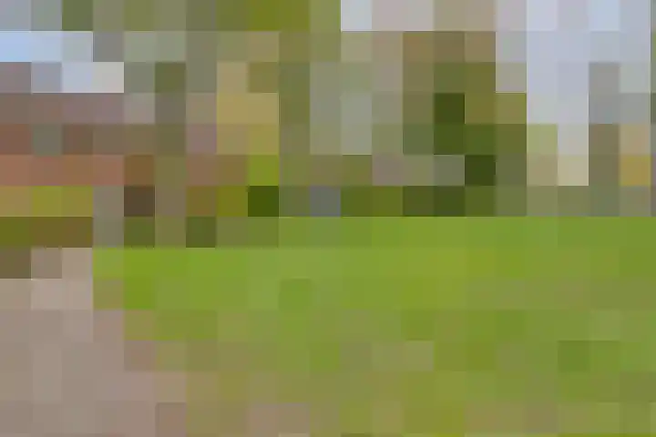 Mullershofstede 27 Vaassen thumbnail 32