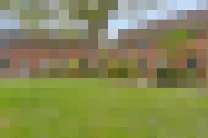 Mullershofstede 27 Vaassen thumbnail 33