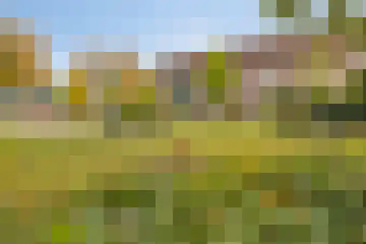 Mullershofstede 27 Vaassen thumbnail 34