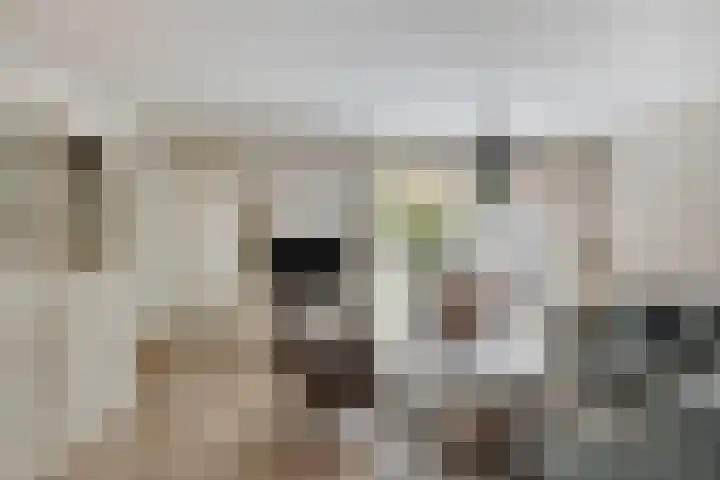 Mullershofstede 27 Vaassen thumbnail 4