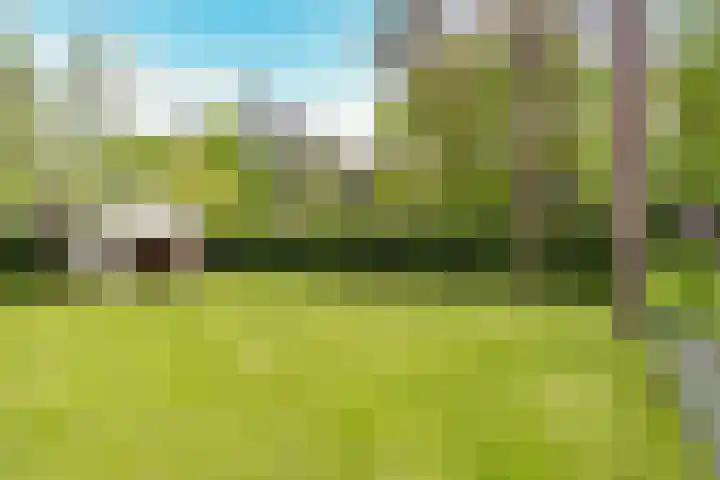 Mulligenweg 28 Oldebroek thumbnail 37