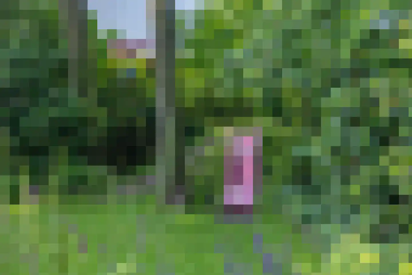 Mulligenweg 60 Oldebroek thumbnail 42