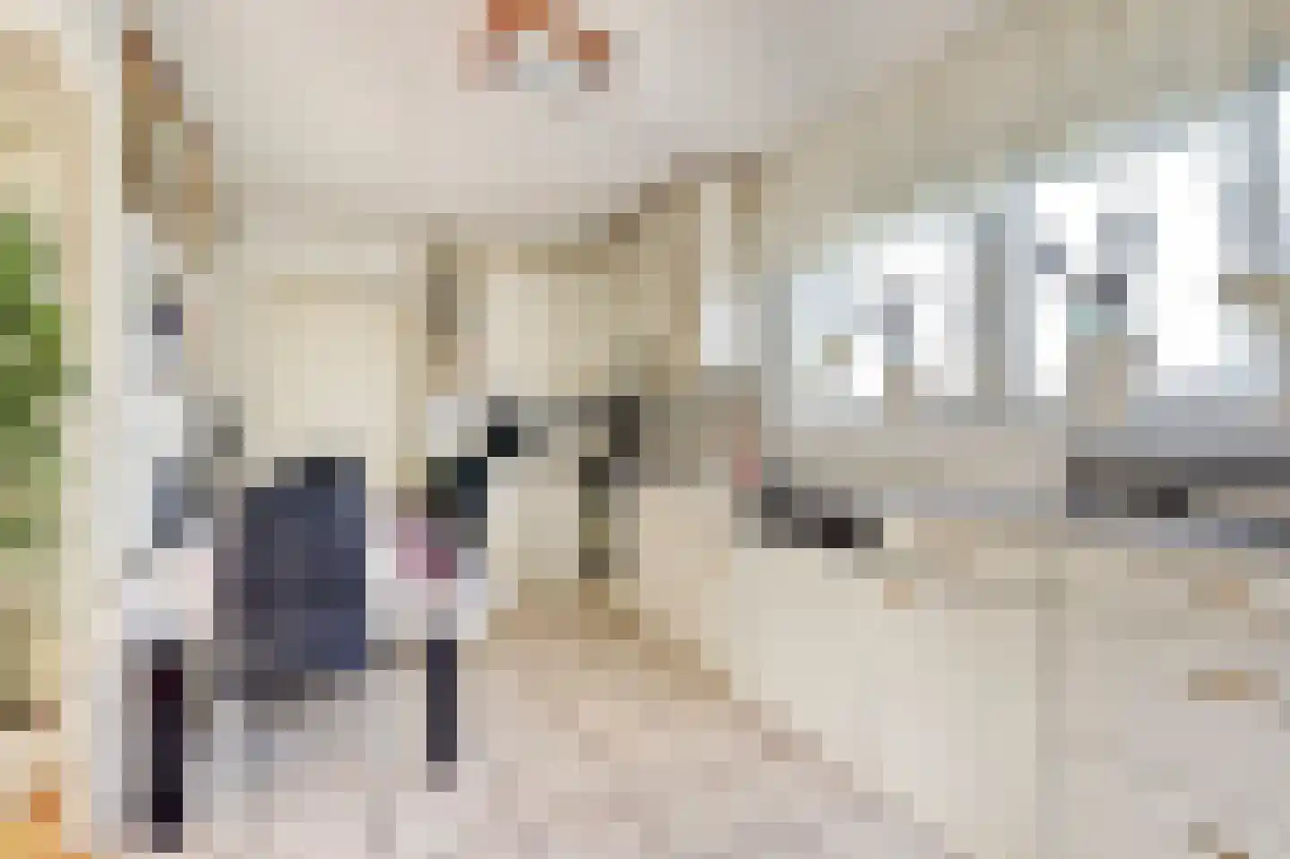Mulockstraat 6 Zierikzee thumbnail 9