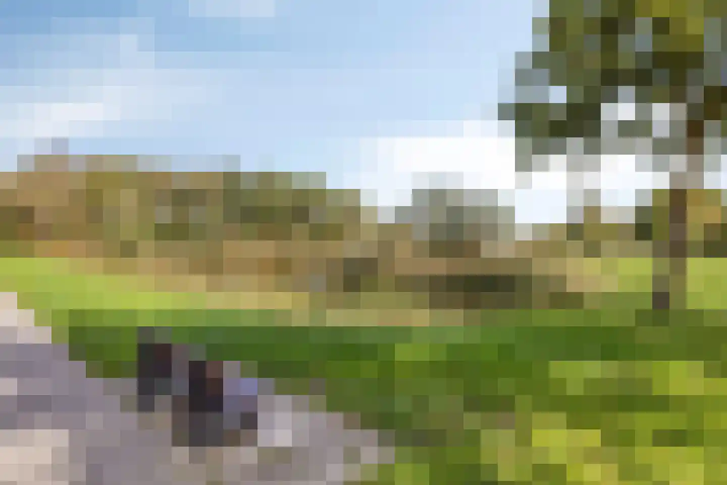 Mulockstraat 8 Zierikzee thumbnail 38