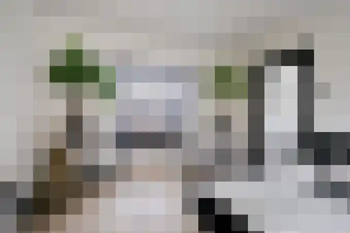 Mulseleane 28 Berltsum thumbnail 17