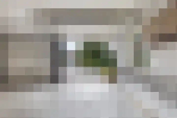 Mulseleane 28 Berltsum thumbnail 35