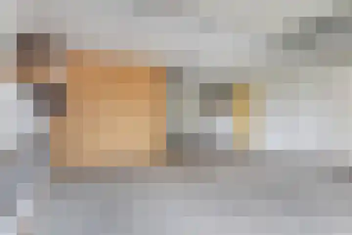 Mulseleane 28 Berltsum thumbnail 36