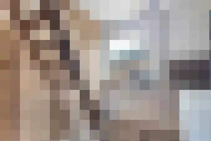 Mulseleane 28 Berltsum thumbnail 38