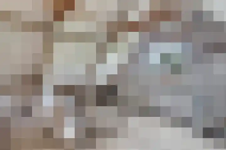 Mulseleane 28 Berltsum thumbnail 39